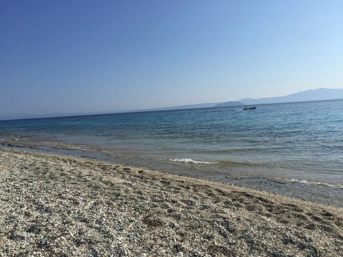 Καθαρισμός στην Κασσάνδρα